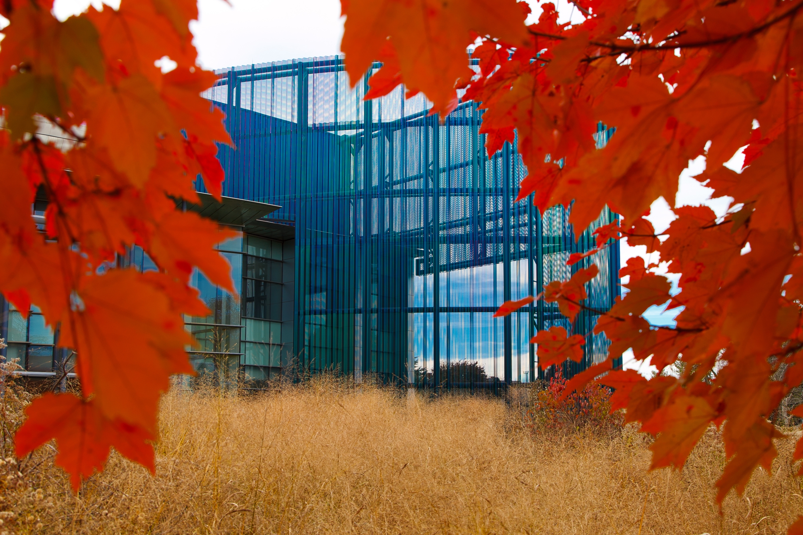 Dickinson College Rector Science Complex Image 11