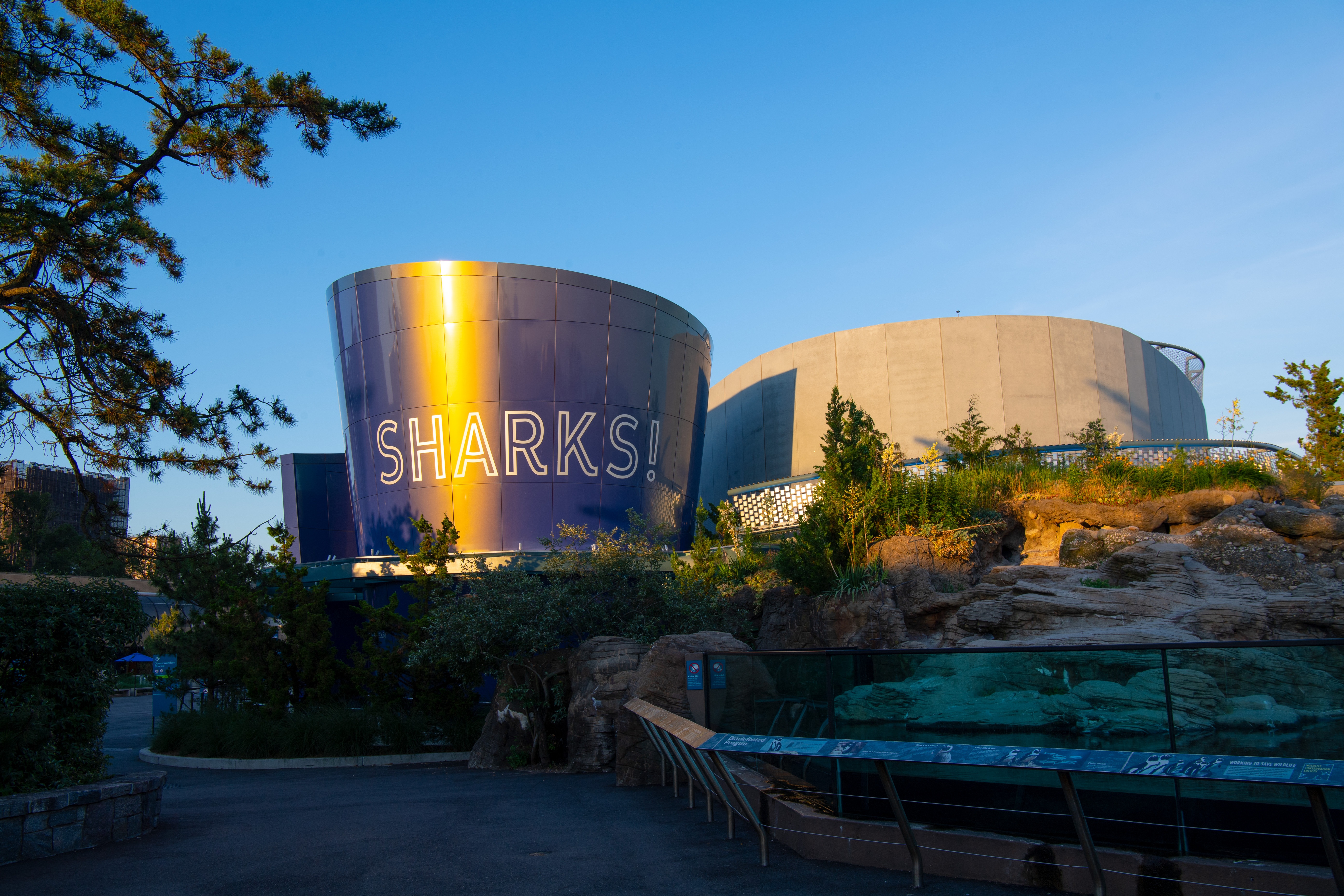 NY Aqaurium Exterior Sharks at Sunset